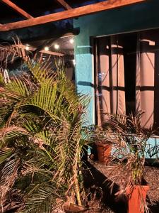 Kitnet - Pe na Areia - Monte Alto