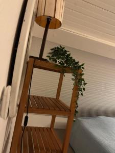 Maisons de vacances House of birds : photos des chambres