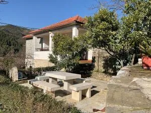 Vila Dashi - Çerenisht