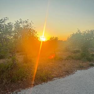 The Retreat Algarve
