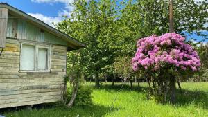 Campo, tranquilidad, relax y buenos paisajes