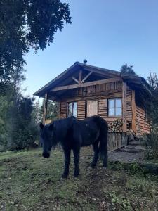 Cabaña en Puerto Aysén