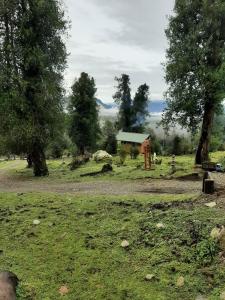 Cabaña en Puerto Aysén
