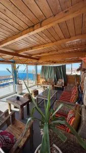 Dar Walid Cap Sim - 西迪考乌奇