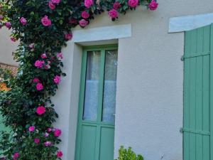 Maisons de vacances Charmante maison avec jardin au coeur du Parc Naturel Regional de la Brenne, ideale pour teletravail. - FR-1-591-237 : photos des chambres