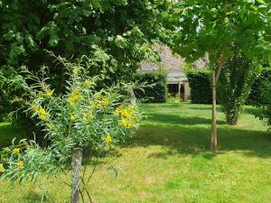 Maisons de vacances Charmante maison avec jardin au coeur du Parc Naturel Regional de la Brenne, ideale pour teletravail. - FR-1-591-237 : photos des chambres