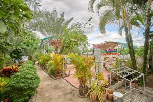 Cha-Cha Garden Chiang Mai - บ้านสวนชาช่า เชียงใหม่