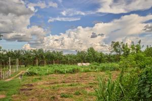 Cha-Cha Garden Chiang Mai - บ้านสวนชาช่า เชียงใหม่