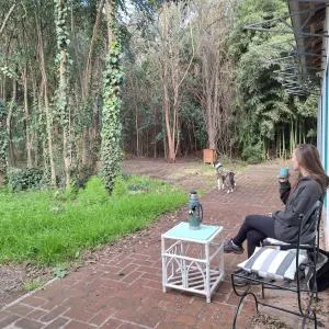 Ecohostel Navarro - Наварро