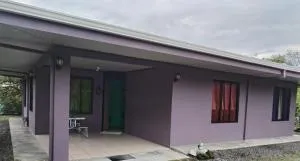 Camale House - Toro Amarillo