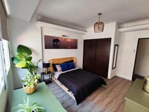 Nice apartment in Polanco