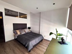 Nice apartment in Polanco
