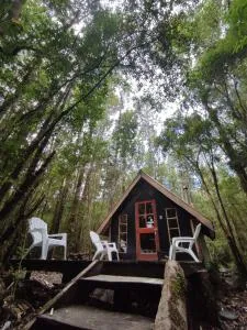 Refugio Tricao - Estero Lago