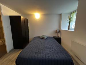 Studio confort avec WiFi au centre de La Roche-Posay, proche Thermes, parking gratuit, 1-2 pers - FR-1-541-95