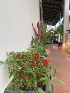 Sunset View Guest House