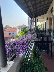 Sunset View Guest House