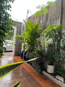 Sunset View Guest House