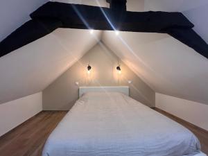 Appartements COCON Mayennais - Loft Balneo Laval - Loveroom : photos des chambres