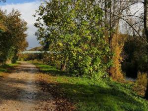Maisons de vacances Gite spacieux et confortable a Feneyrols proche de l-Aveyron - FR-1-605-48 : photos des chambres