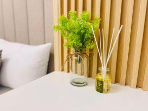 Azure north dimples nest