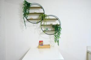 Central Modern Beach Studio