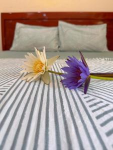 Hạnh Phúc homestay