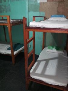 SIARGAO shark bunkbed