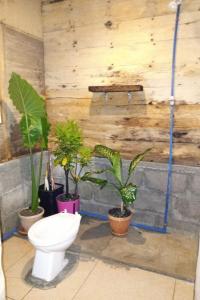 SIARGAO shark bunkbed