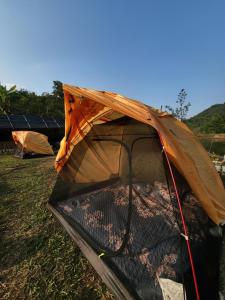 Rừng - The Cozy Place