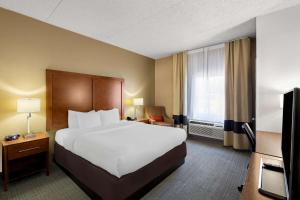 Comfort Inn & Suites near Kino Sports Complex