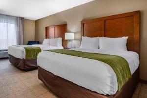 Queen Room with Two Queen Beds room in Comfort Inn & Suites Avera Southwest