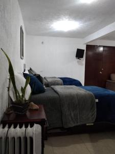 Pico Orizaba country - Prázdninové domy, Orizaba