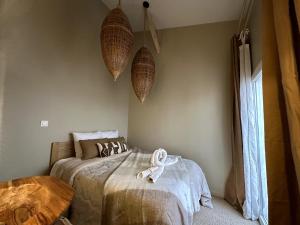 Appartements LE COTTAGE, T2, Hyper center, Terrasse : photos des chambres