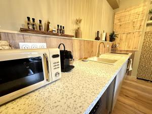 Appartements LE COTTAGE, T2, Hyper center, Terrasse : photos des chambres