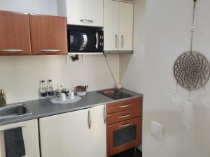 Cozy & economic studio