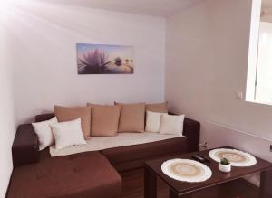 Cozy & economic studio