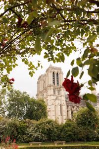 Hotels Maison Colbert Member of Melia Collection Notre-Dame : photos des chambres