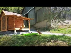 NEU! Reiterhof Finkenmühle Fewo Romano mit Balkon - فايسنشتات