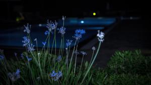 Lagada Resort Lasithi Greece