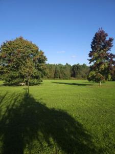 Maisons de vacances Prune : photos des chambres