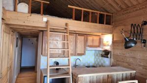 Résidence Karen - APPARTEMENT ALPE DHUEZ COGNET-PIEDS DES PISTES MAE-8911