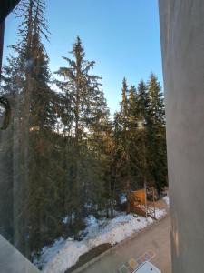 ВасиленаАпарт