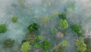 Coorg Wild Walk, Nagarhole - A CGH Earth SAHA Experience