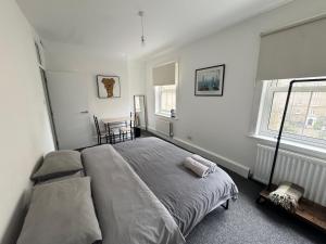 Beautiful Large Room in Central London