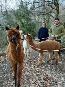 Il Castellare - Pierle