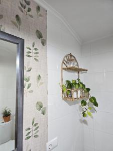 Apartamento en el centro de Cedeira nuevo y con terraza