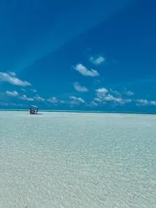 Boheme Zanzibar - Kidenga