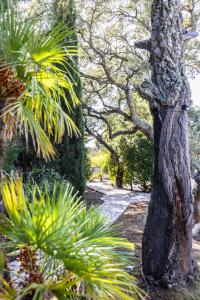 Villa Reninca - Côte DAzur
