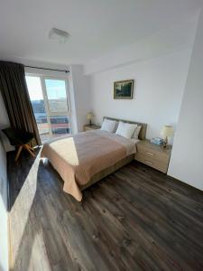 Panoramic View Timisoara