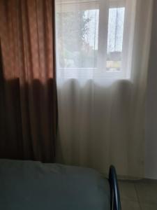 Appartements Appartement T2 spacieux a FREHEL mieux vaut reserver via RBNB : photos des chambres